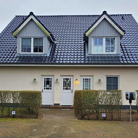 Wiesenblume Eg L * Wyk auf Föhr